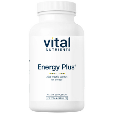 ENERGY PLUS